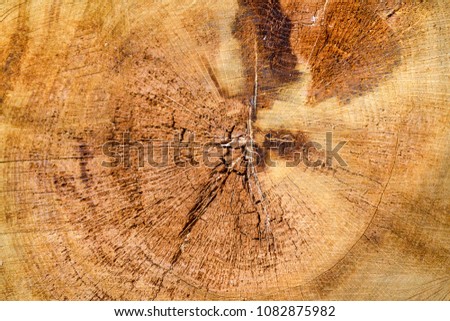 Wood texture. Spiel of logs. Orange wooden background