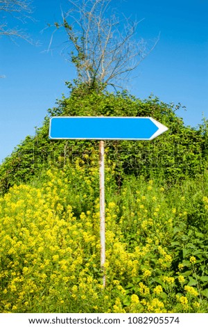 Road sign in the flowering