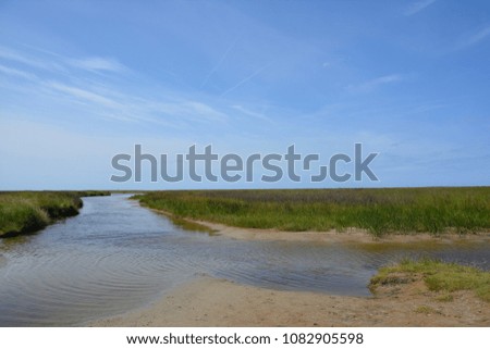 Grass meadow, water, beach and blue sky at the North Sea (Germany)