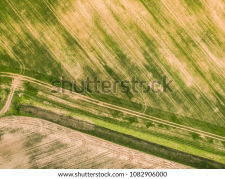 Crop fields from above, drone photography, agriculture season