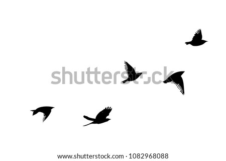 Flock of flying birds. Vector
