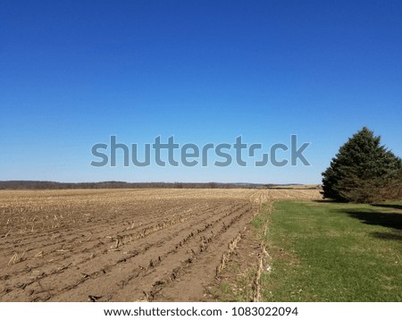 Harvested corn field during a clear, sunny day.
