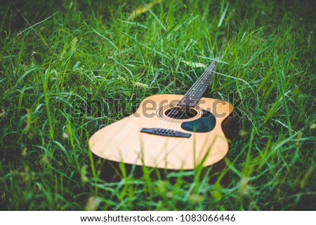 Guitar in the forest Take a guitar to the forest.