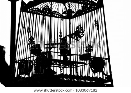 Silhouette of a bird in a cage.