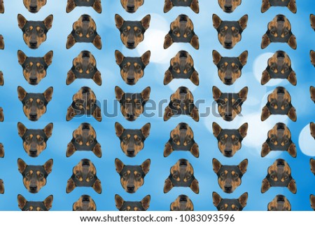 Black head dog in vertical row with light blue background for texture and background