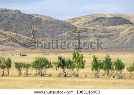 The steppe is woodless, poor in moisture and usually flat with grassy vegetation in the dry climate zone. prairie, veld, veldt