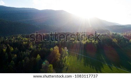 Beautiful green nature, landscape with strong sun on the right top corner. Ecology