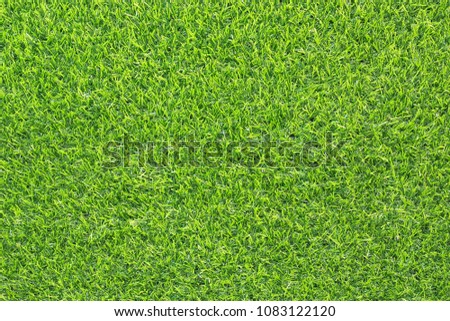 Top view of Artificial Grass texture.