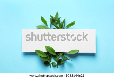 Blank card with green leaves on color background