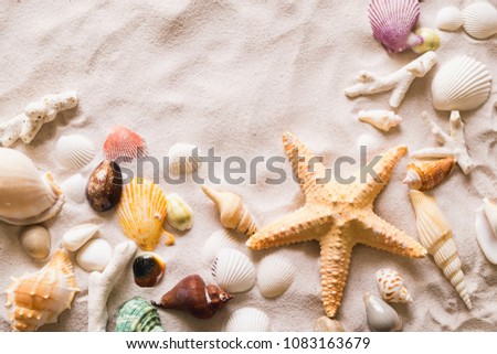 Summer beach with a lot of seashells, starfish and sand as background. Sea shells. Travel and summer concept.
