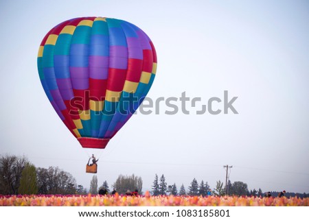 Colorful hot air balloon over a field of tulips, pale blue sky 