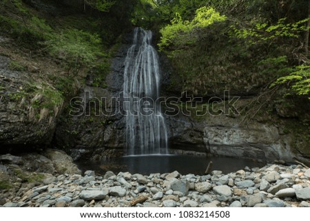 Landscape photography of waterfall in the forest of Japan.