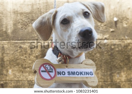 Dog-bone-shaped collar with a smoking ban.