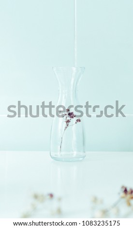 Decorative vase. Flower in vase on blue background. Picture for interior design. Minimalism and minimalist art. Concept of minimalism. Beauty in simplicity. Hipster, vintage style.