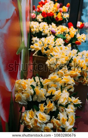 bouquets of yellow daffodils and red tulips stand in flower beds on a glass showcase