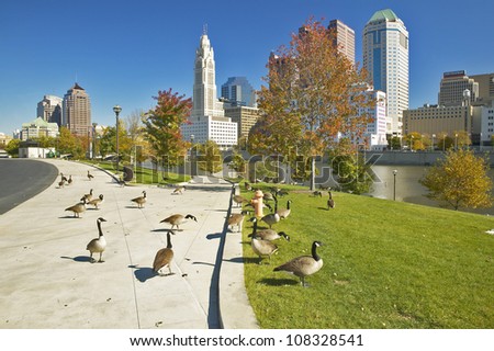 Canadian Geese and Scioto River, Columbus, Ohio
