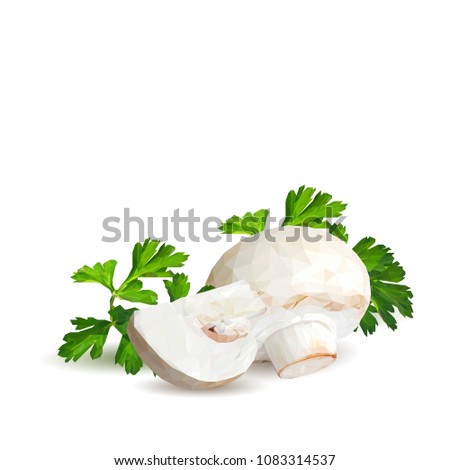 Fresh, nutritious, tasty mushrooms. Elements for pizza design. Vector illustration. Mushrooms ingredients in triangulation technique. Champignons with parsley low poly.