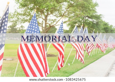 Text Memorial Day on long row of lawn American Flags background. Green grass yard USA flags blow in the wind. Concept of Memorial day or Veteran's day in America.