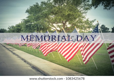 Text Memorial Day on long row of lawn American Flags background. Green grass yard USA flags blow in the wind. Concept of Memorial day or Veteran's day in America.