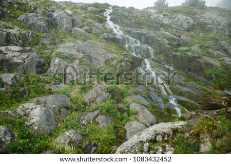 Photo of mountain slopes with green plants