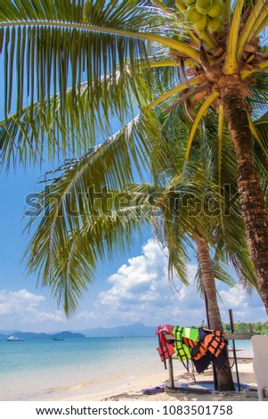 Coconut palm tree and life jacket on tropical beach in southeast asia.