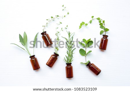 Top view, Bottle of essential oil with herbs  sage, rosemary, oregano, mint, thyme and lemon thyme  on white background.