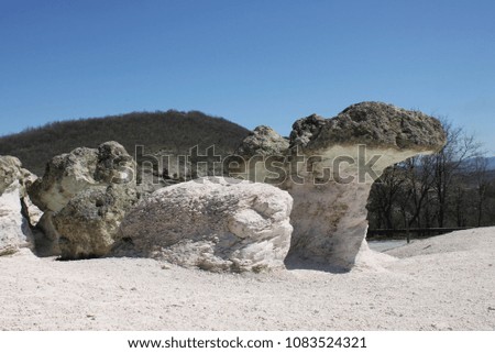 Natural phenomenon Stone Mushrooms located near the road between Haskovo and Kardzhali in Bulgaria 