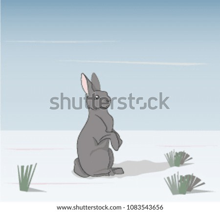 hare gray vector, outdoor, snow