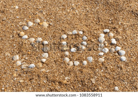 The word sea of shells on a sandy beach. The concept of summer vacation. Dreams of the sea.