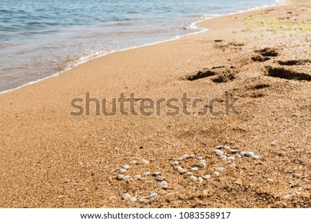 The word sea of shells on a sandy beach. The concept of summer vacation. Dreams of the sea.