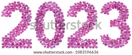 Numeral 2023 from flowers of lilac, isolated on white background