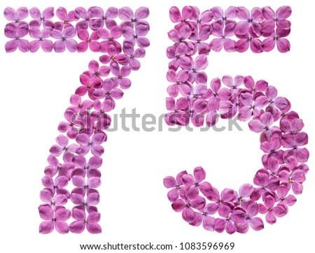 Arabic numeral 75, seventy five, from flowers of lilac, isolated on white background