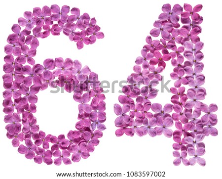 Arabic numeral 64, sixty four, from flowers of lilac, isolated on white background