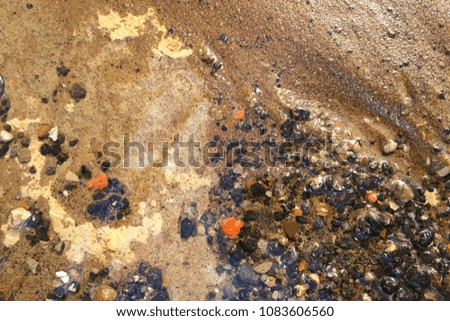 Texture in the form of wet sand and stones on the bank of the stream