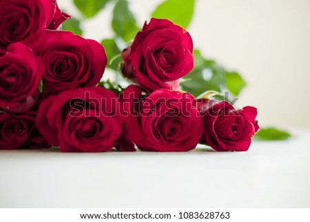 Red roses on clear background. Soft focus. Valentine's Day, wedding day, engagement.