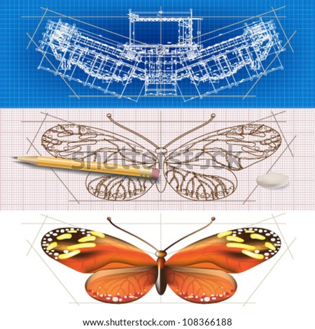 Creative architectural banners with a butterfly