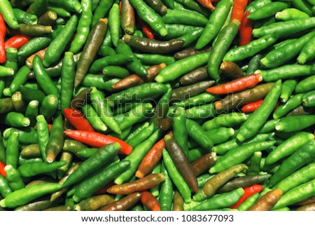 Close up many chili pepper are green brown and red fresh color.