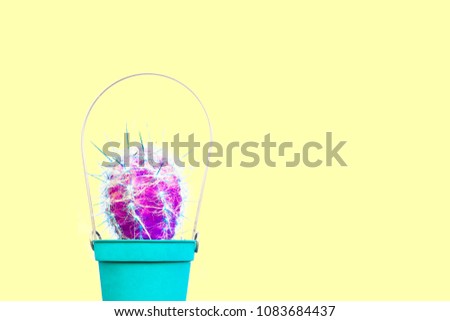 Cactus Design. Cactus Lover. Purple Cacti Minimal fashion art with copy space for text. Yellow pastel background