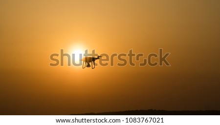 silhouette of flying drone in glowing red sunset sky