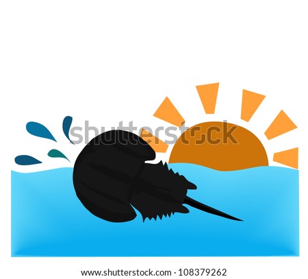 Vector - Horseshoe crab shell in the ocean.