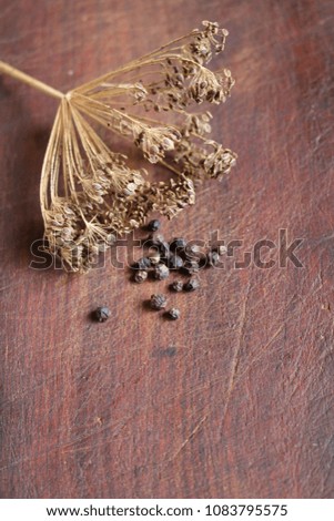 dill, pepper and leaves of laurel on a wooden cutting board
