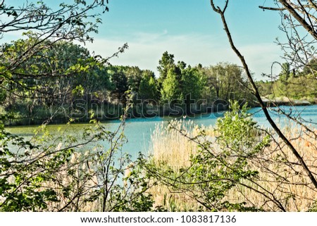 Lake in the spring on a forest background