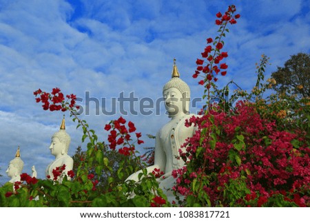 Buddha statue ,Thailand 