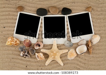 pictures with cockleshells on sand