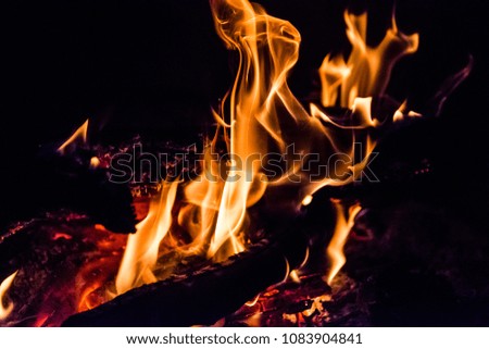 Firewood picture on fire