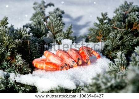 shrimps seafood snow