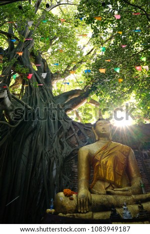 Buddha statue in  old church of Wat Ranam church .The church not roof .It landmark of Singburi Thailand   