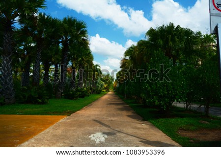 the sign of bicycle lane on cement ground and green  palm trees with blue sky and white cloud at the city park