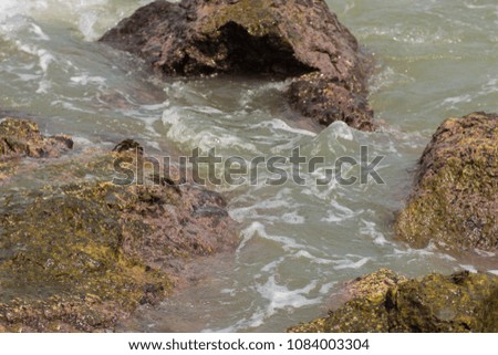 Rocks near the sea, surf and water splashes. Crabs are sitting on the stones.