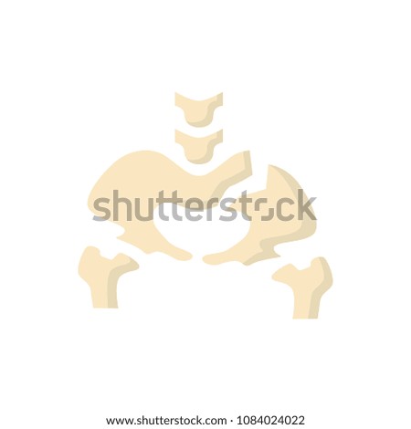 Pelvis flat human broken bone raster illustration icon